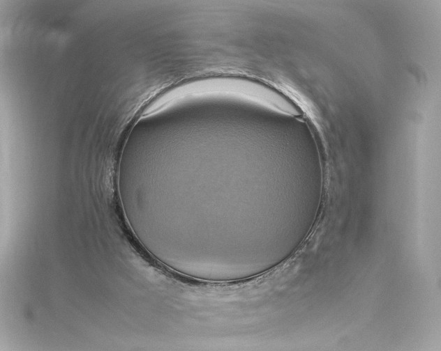 X0000115560009200911201832