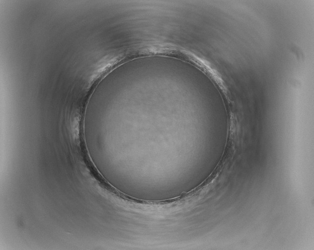 X0000115560010200911201832