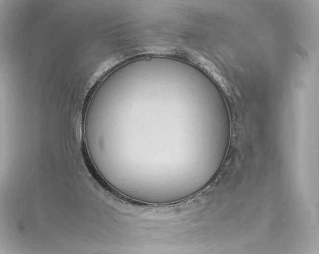 X0000115560011200911201832