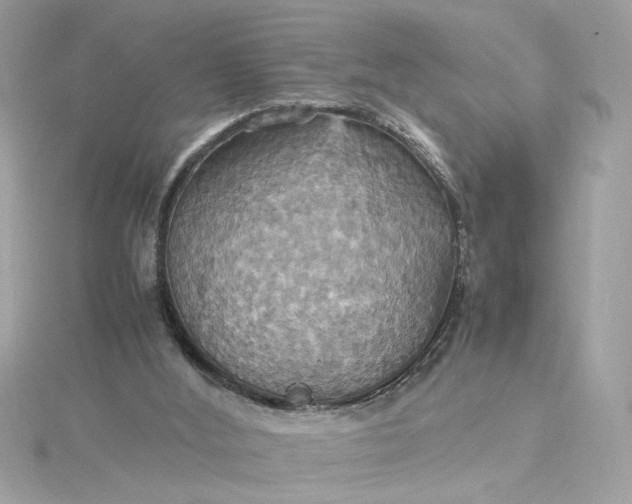 X0000115560012200911201832