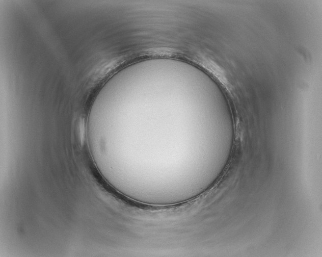 X0000115560013200911201832