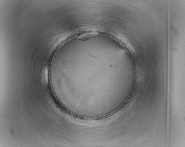 X0000115560014200911201832