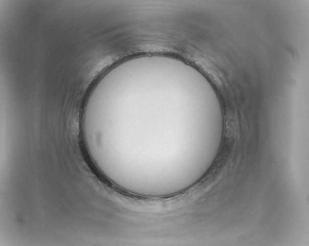 X0000115560015200911201832