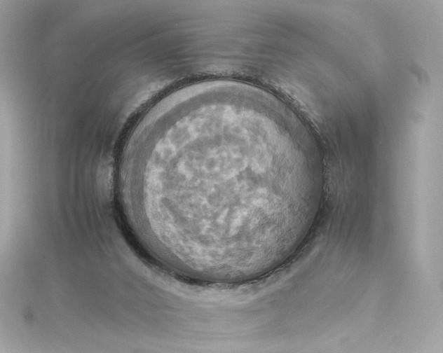 X0000115560016200911201832