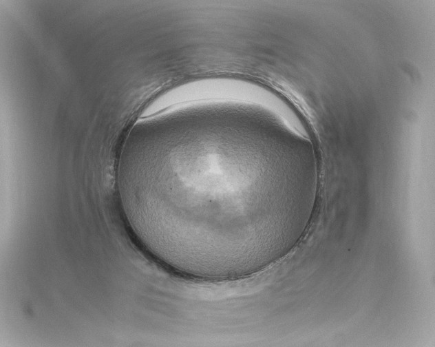 X0000115560017200911201831