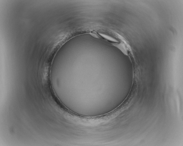 X0000115560018200911201831