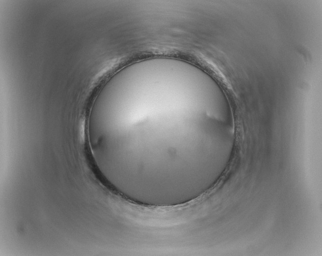 X0000115560019200911201831