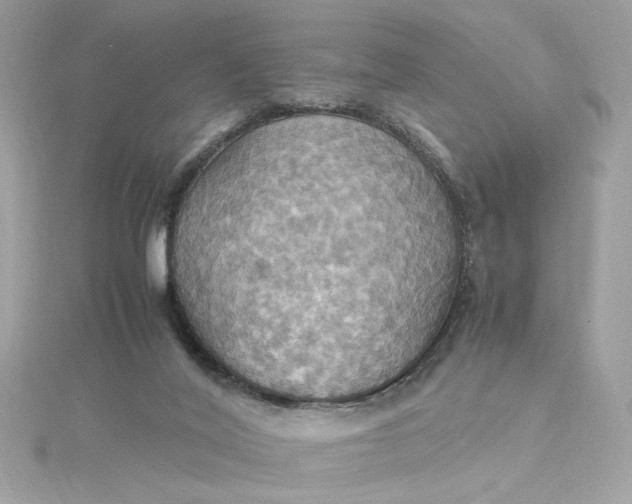 X0000115560020200911201831