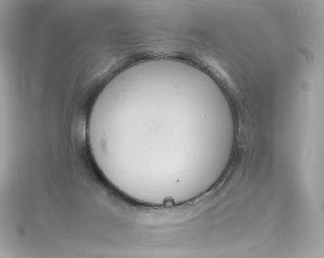 X0000115560021200911201831