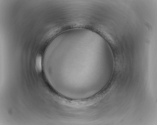 X0000115560022200911201831