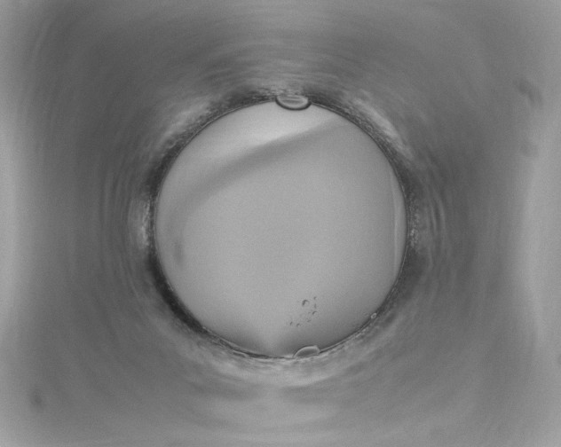 X0000115560023200911201831