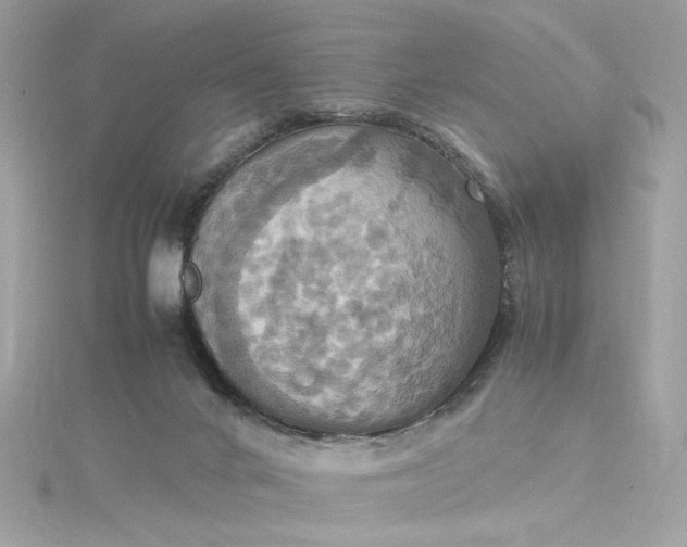 X0000115560024200911201831