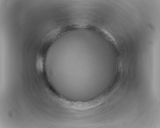 X0000115560026200911201831