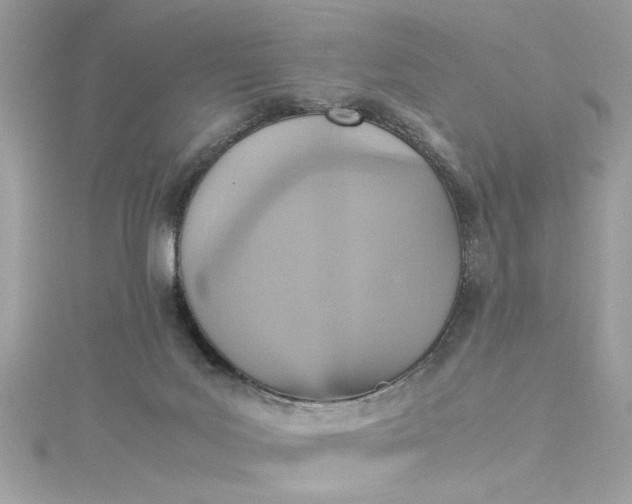 X0000115560027200911201831