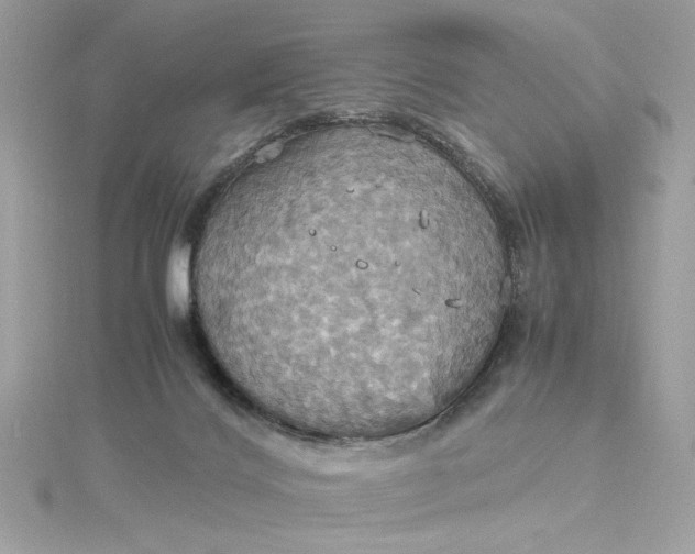 X0000115560028200911201831