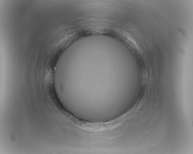 X0000115560029200911201831