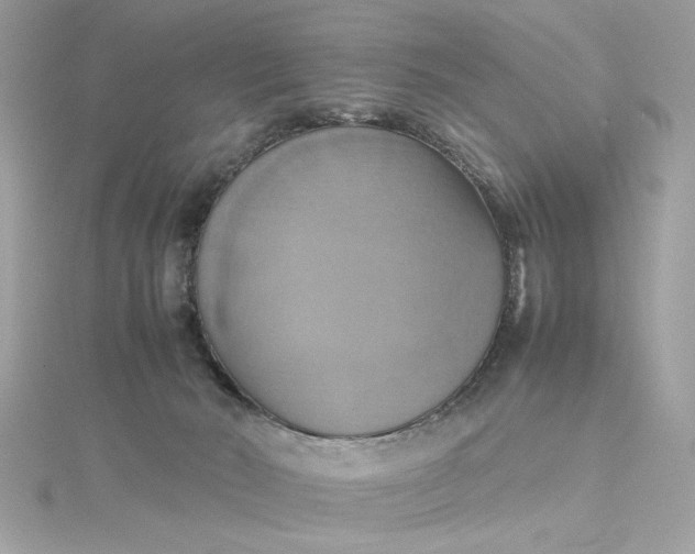 X0000115560030200911201831