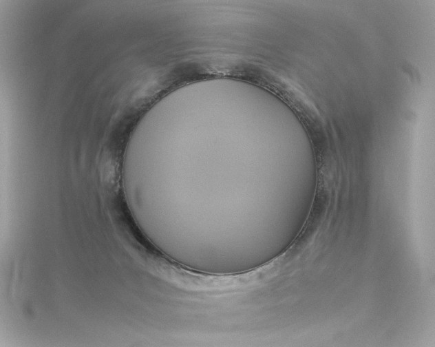 X0000115560031200911201831