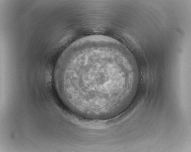 X0000115560032200911201831