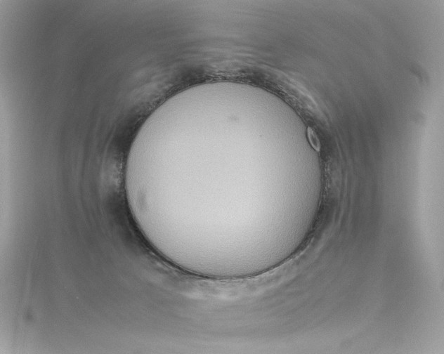 X0000115560033200911201831