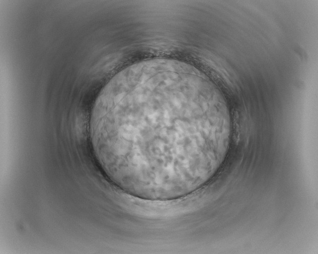 X0000115560034200911201831