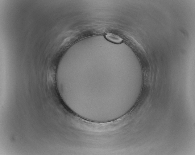 X0000115560035200911201831