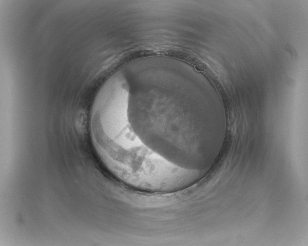 X0000115560036200911201831