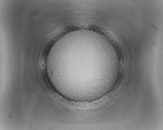 X0000115560037200911201831