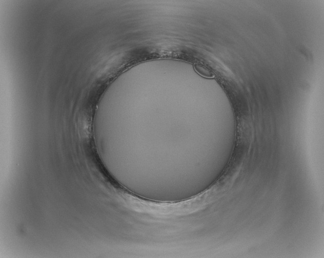 X0000115560039200911201831