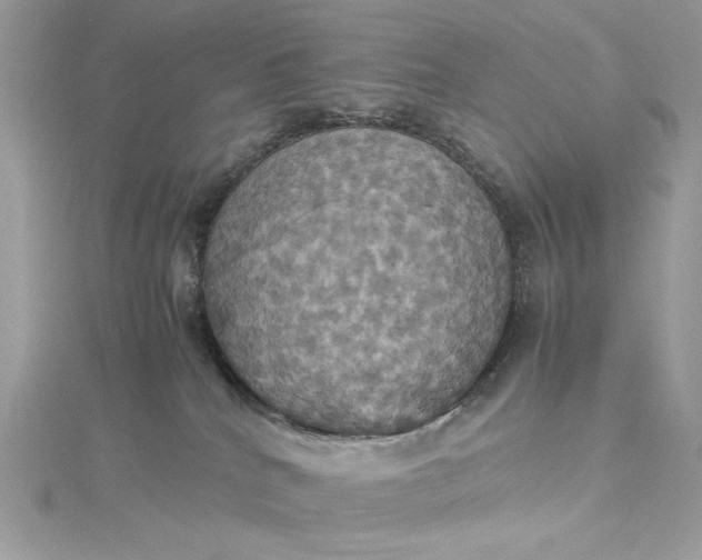 X0000115560040200911201831