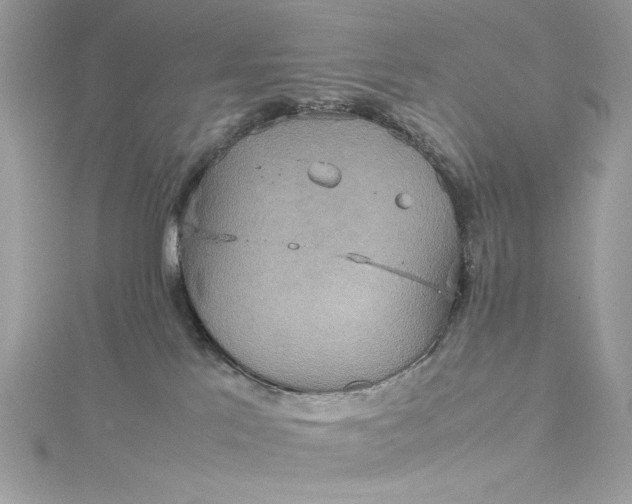 X0000115560041200911201831