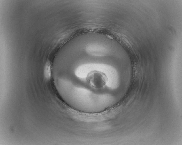 X0000115560042200911201831