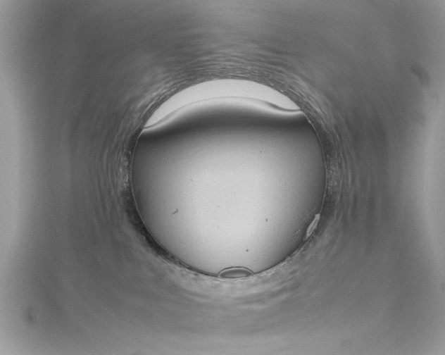 X0000115560043200911201831