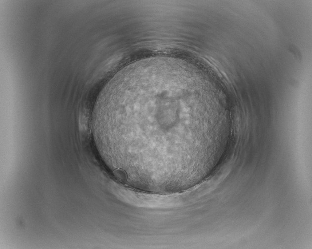 X0000115560044200911201831