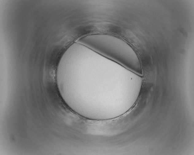 X0000115560045200911201831