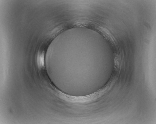 X0000115560046200911201831