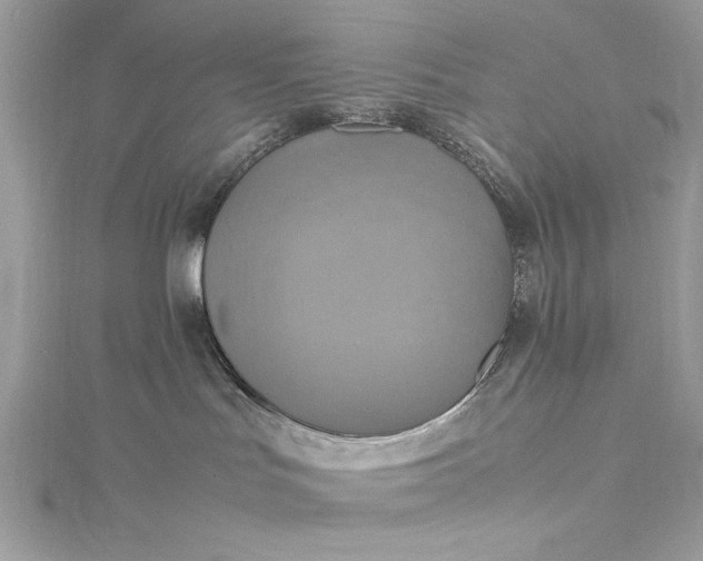 X0000115560047200911201831