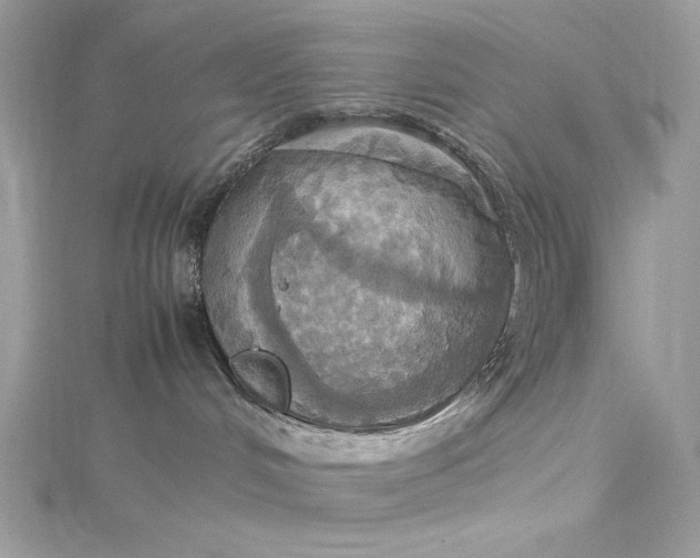 X0000115560048200911201831