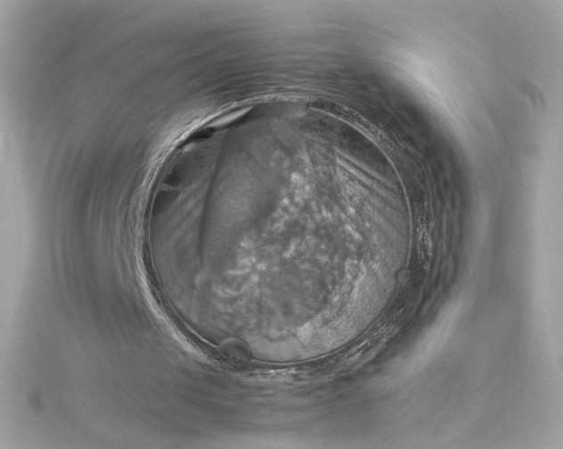 X0000115560049200911201830