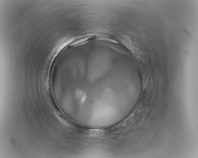 X0000115560050200911201830