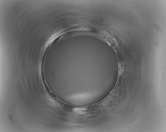 X0000115560051200911201831