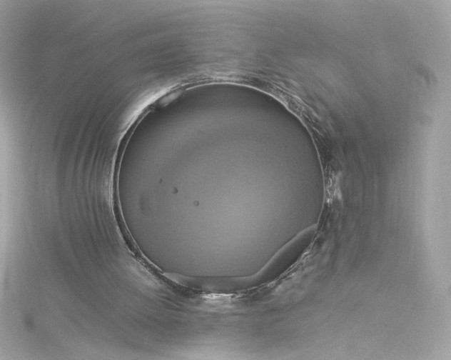 X0000115560052200911201831