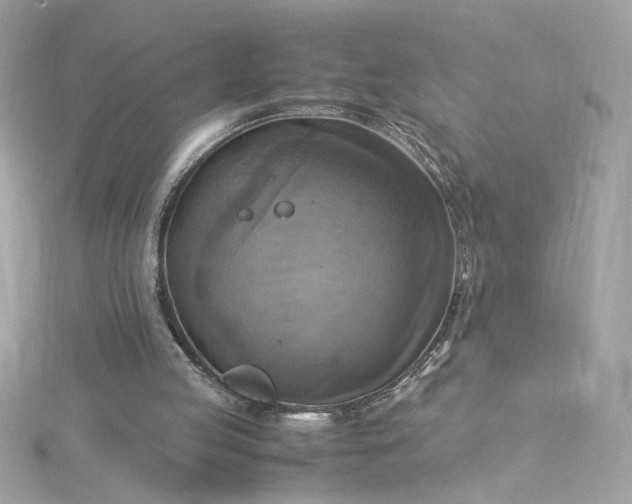 X0000115560053200911201831