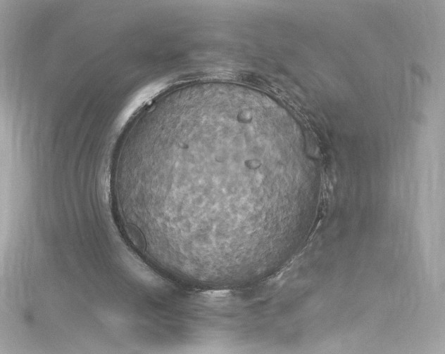 X0000115560054200911201831