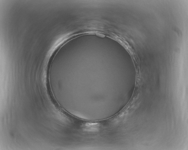 X0000115560055200911201831