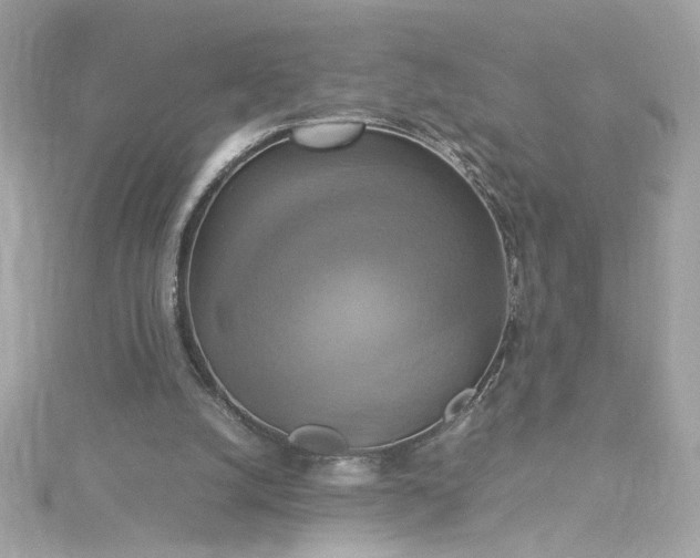 X0000115560056200911201831