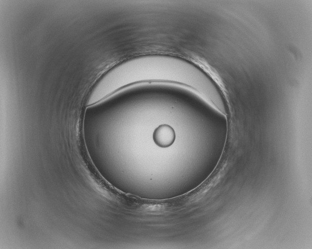 X0000115560057200911201831