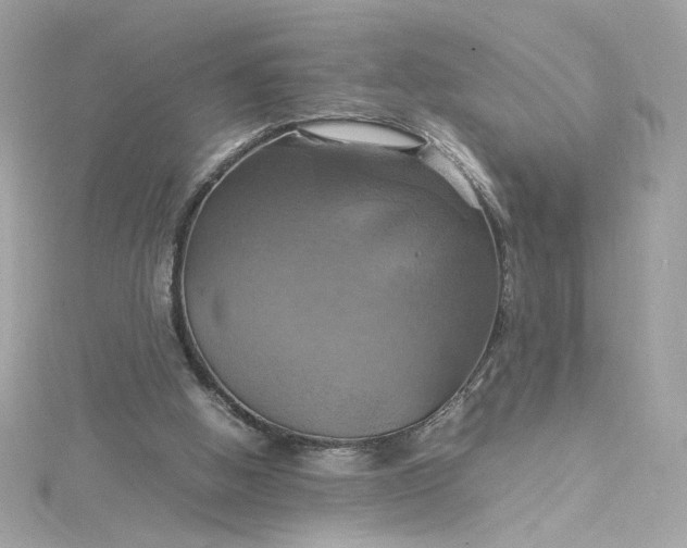 X0000115560058200911201831