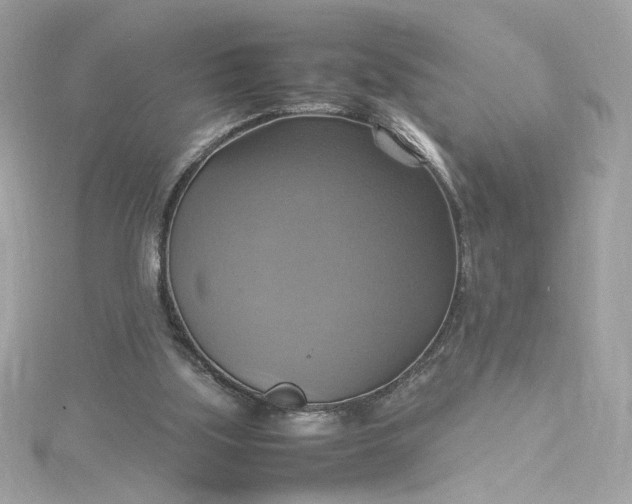 X0000115560059200911201831