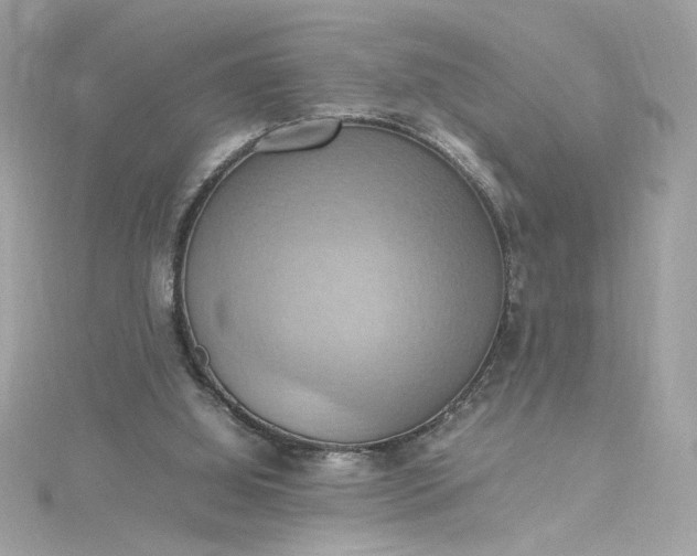 X0000115560060200911201831